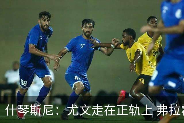 什琴斯尼：尤文走在正轨上 弗拉霍维奇非常出色