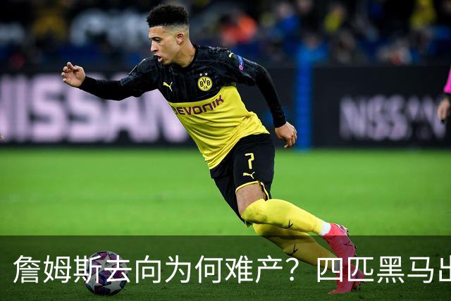 詹姆斯去向为何难产？四匹黑马出现加剧混乱